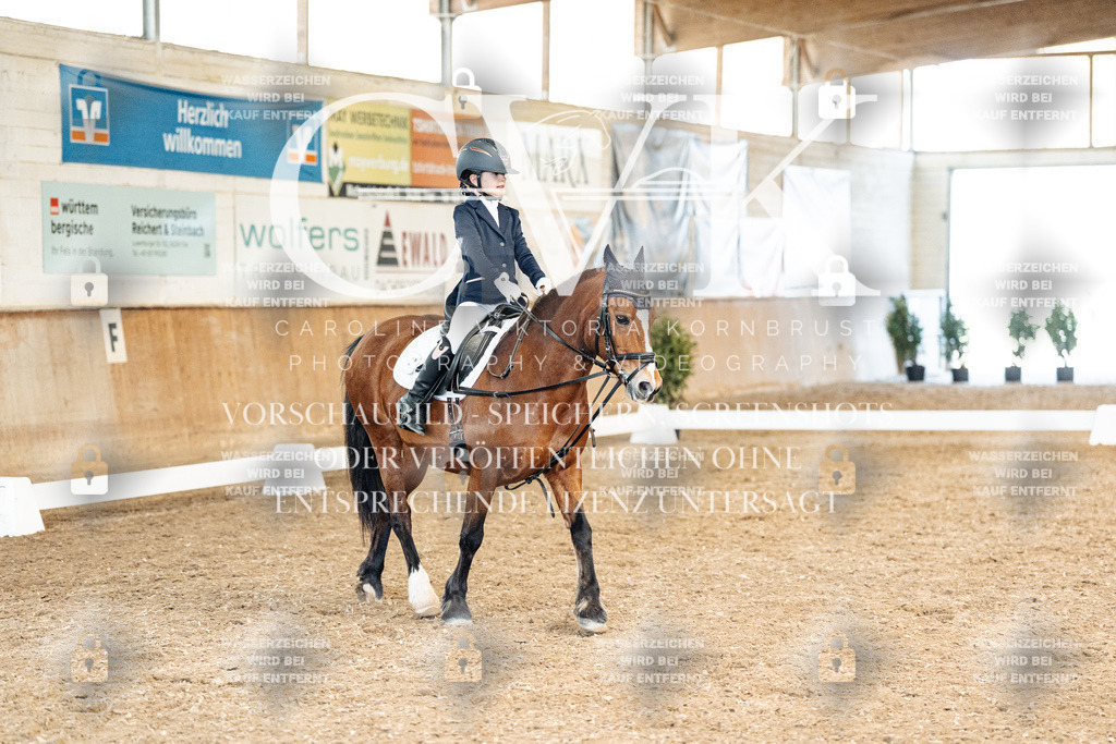 CK900495 | Turnierfotografie Pferdefotografie Trier Rheinland-Pfalz Pferdesport Reitsport Tierfotografie Sportfotografie Pferdevideo Pferdevideografie Equestrianvideography equestrianphotography  - Realisiert mit Pictrs.com