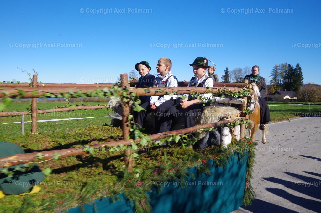 IMGP8583 | fotografiert von Axel PollmannLeonhardi Wallfahrt Benediktbeuern und Murnau, Fronleichnam, Fasching, Landschaft im Loisachtal und Benediktbeuern  - Realisiert mit Pictrs.com