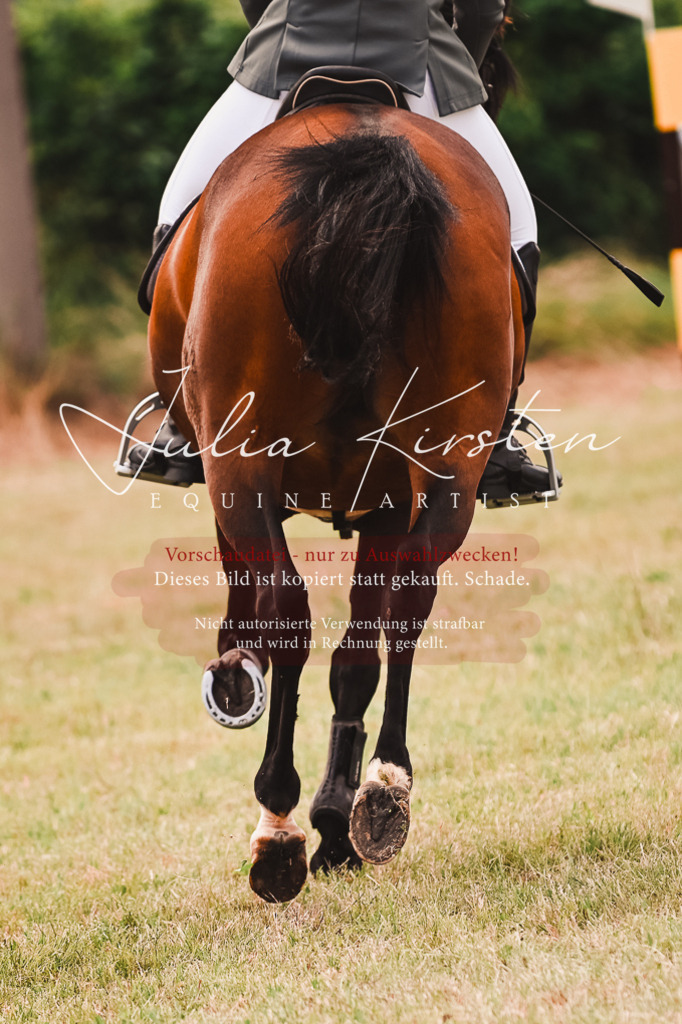 DSC_6931 | Pferde- und Turnierfotografie in Westsachsen. Pferdeportraits, Auftragszeichnungen und intuitive Kunst.