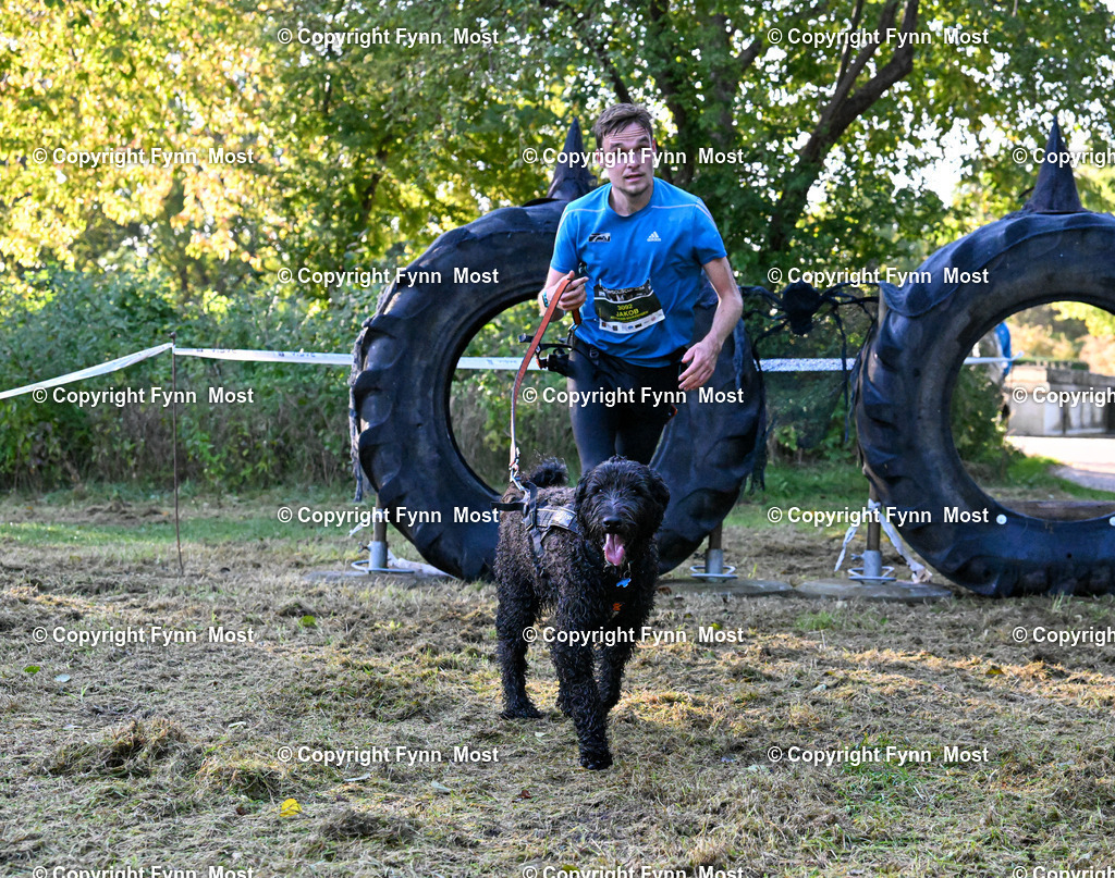 DSC_4974 | Hallo und herzlich Willkommen auf meiner Shop-Seite Fynn Most.

Ich wünsche Dir viel Spaß beim stöbern durch die Bilder, wenn Du Fragen hast oder Bilder vermisst, kannst du mir gerne eine Nachricht schreiben. - Realisiert mit Pictrs.com