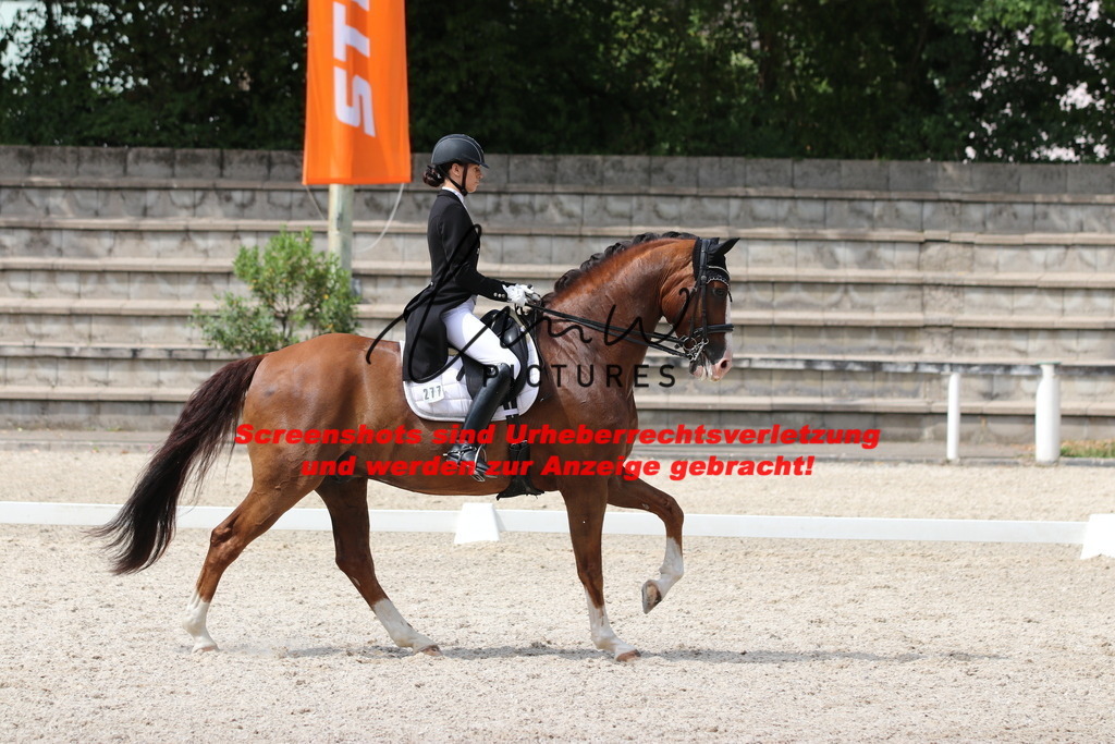 IMG_7137 | lmwpictures - Realisiert mit Pictrs.com