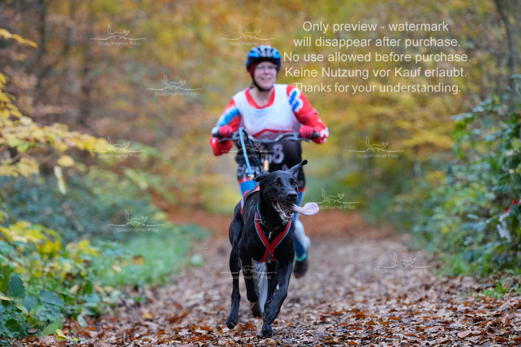 Scooter_So-68 | stephaniefillaphotographie - Realisiert mit Pictrs.com