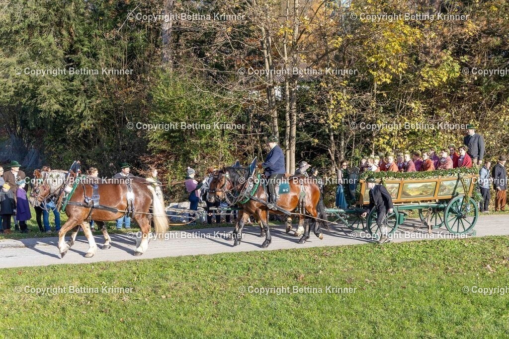 LBT24-122 | foto-bettina-krinner - Realisiert mit Pictrs.com