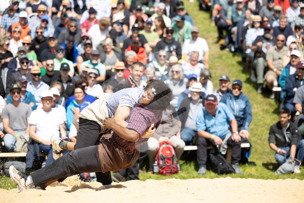 Rigi2025_1428 | Die Schwinger des Schwyzer Kantonalen Schwingerverbandes: Fotos, die Dynamik und Leidenschaft festhalten, sowie emotionale Momente aus dem traditionellen Schwingsport zeigen. - Realisiert mit Pictrs.com
