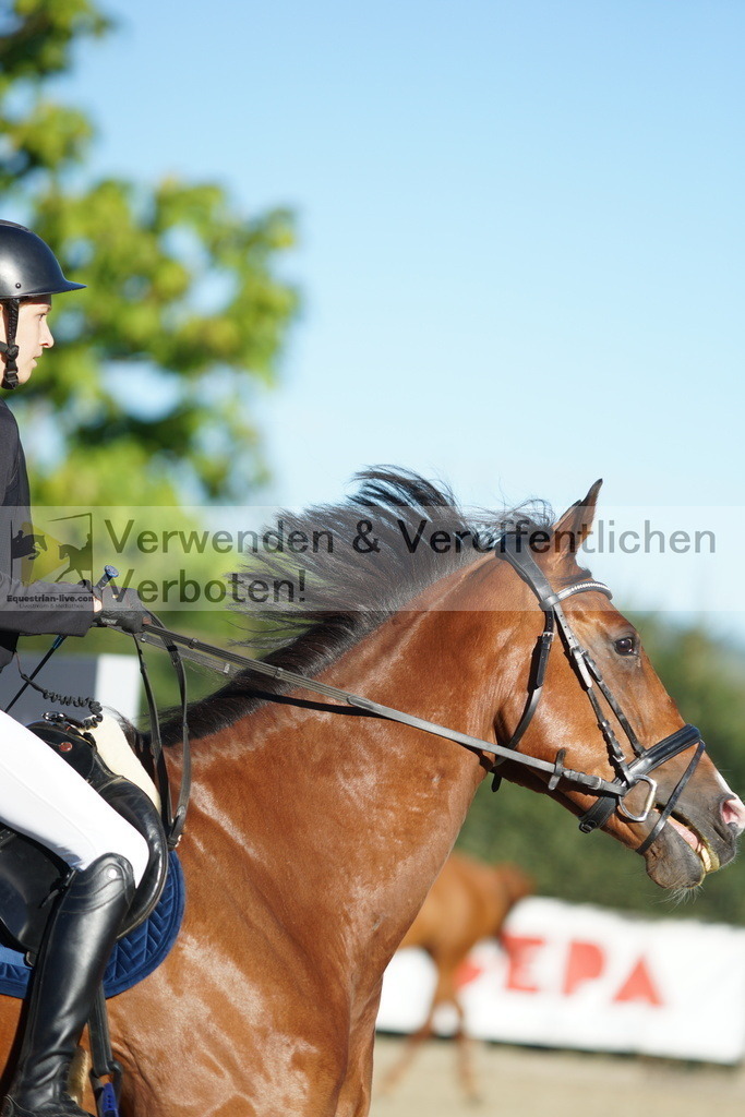 DSC08161 | equestrian-live-com