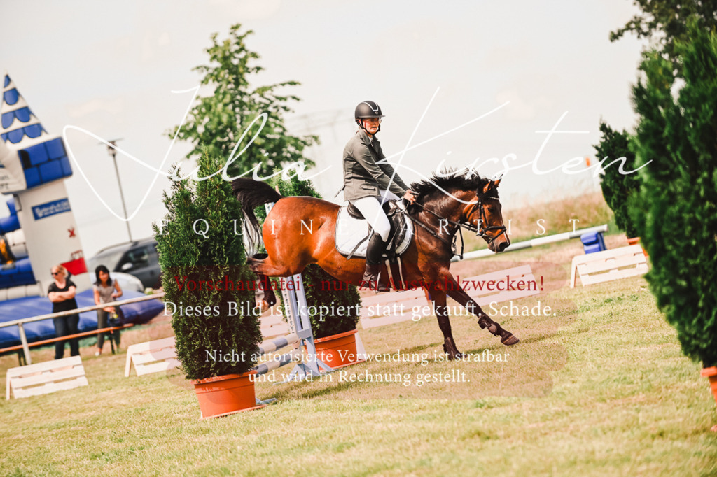 DSC_6927 | Pferde- und Turnierfotografie in Westsachsen. Pferdeportraits, Auftragszeichnungen und intuitive Kunst.