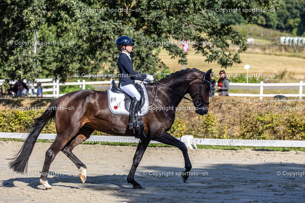 240901-VW-IS6A5186 | Sportfoto SH - Realisiert mit Pictrs.com