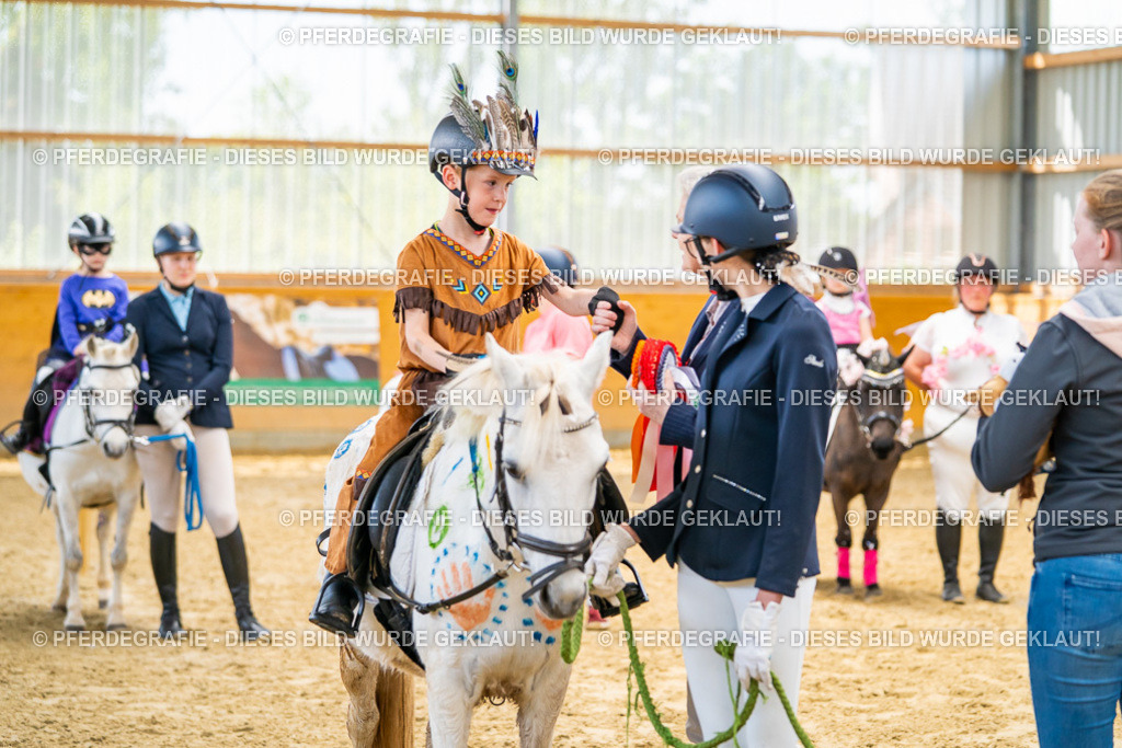 DSC00241 | Pferdegrafie