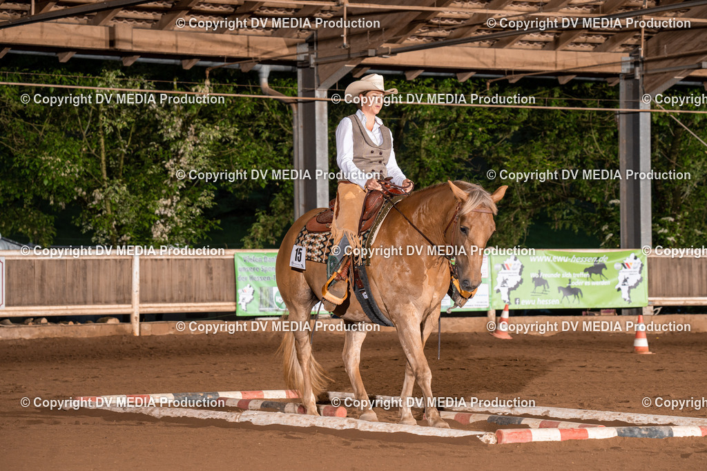 Erbach Tag 2-1174 | dv-media-shop - Realisiert mit Pictrs.com