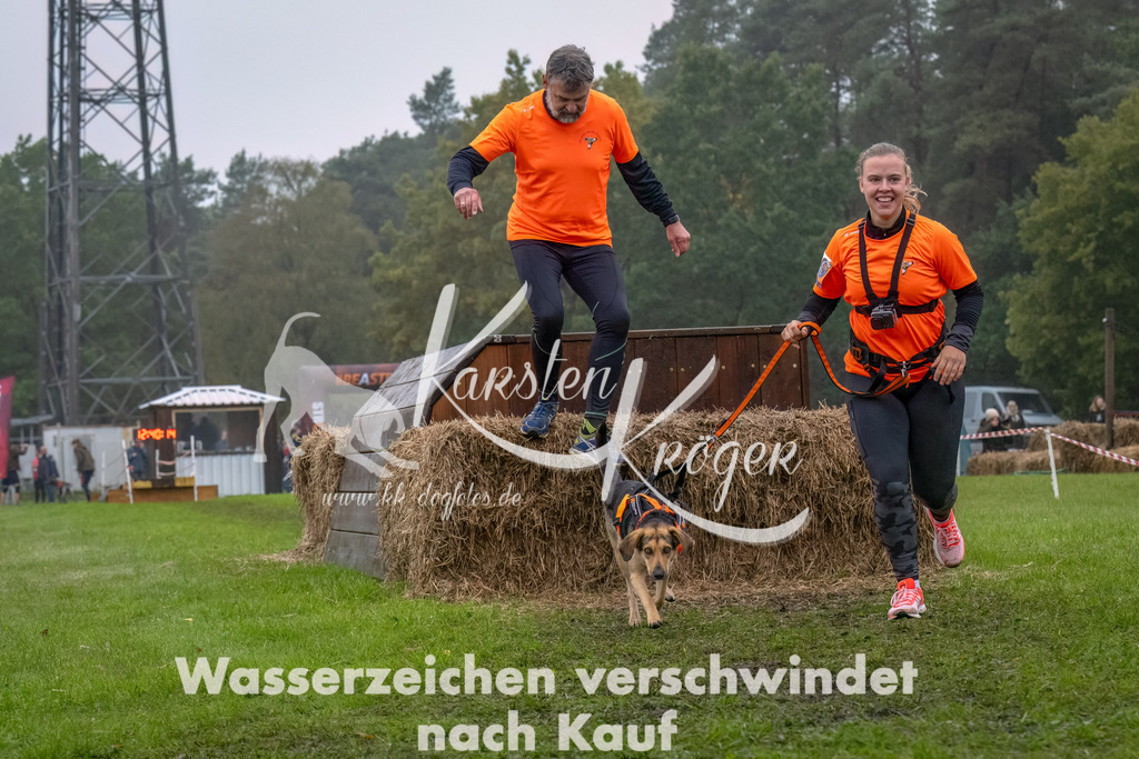 1241--5 | kk-dogfotos