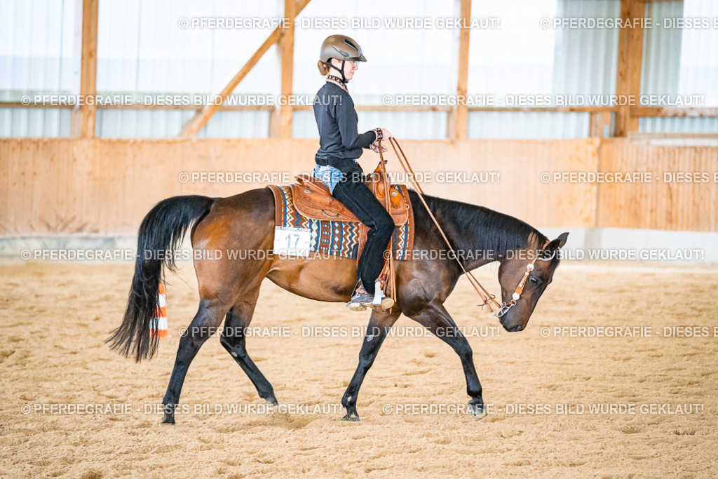 DSC02629 | Pferdegrafie