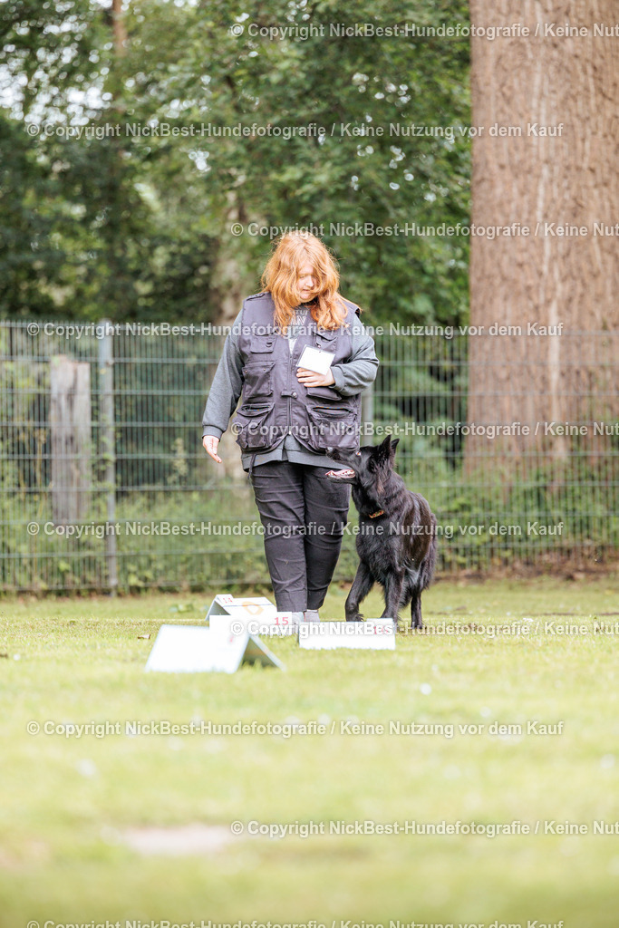 RO-Blumenthal-2026-Nickbest-Hundefotografie-3330 | Dein Hund! Dein Moment! Deine Erinnerungen! Hundefotografie in Bremen Blumenthal. Ich fange die besonderen Momente deines Vierbeiners ein – ob Indoor mit Blitzanlage oder in der freien Natur. Sicher dir dein Moment und dein Termin für eure Erinnerungen.