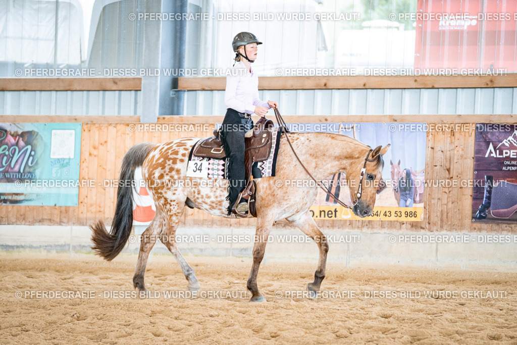 DSC02575 | Pferdegrafie