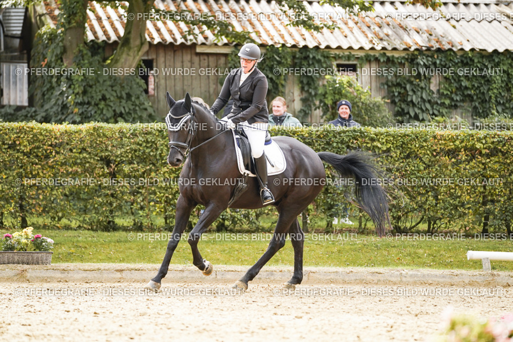 DSC01242 | Pferdegrafie