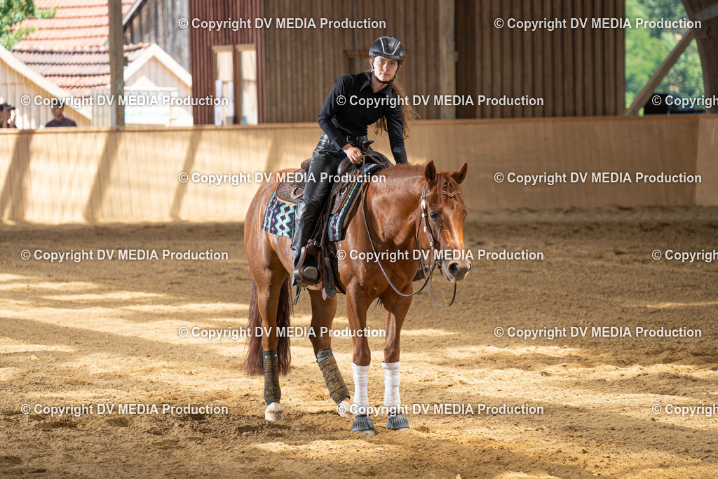 DSC00050 | dv-media-shop - Realisiert mit Pictrs.com