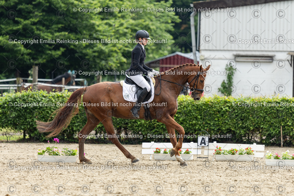 CL5A4617 | Emilia Reinking Fotografie - Realisiert mit Pictrs.com