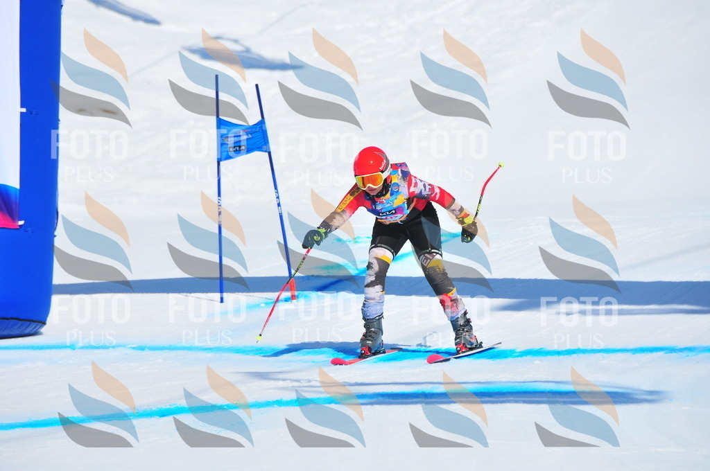 DSC_4638 | holidayphoto