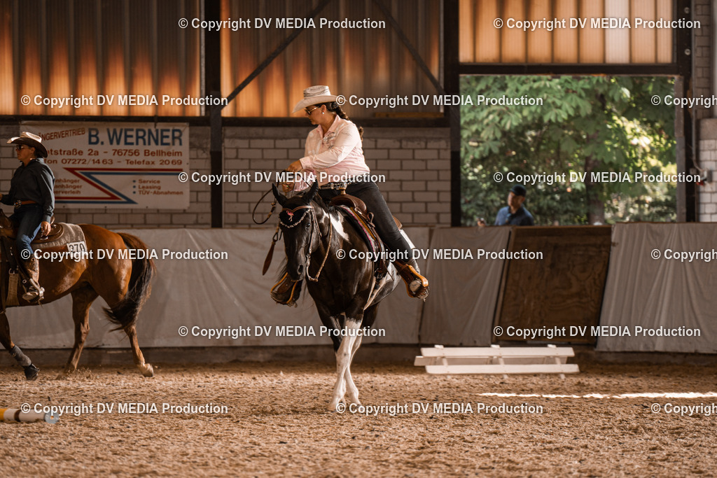 ZH300480 | dv-media-shop - Realisiert mit Pictrs.com