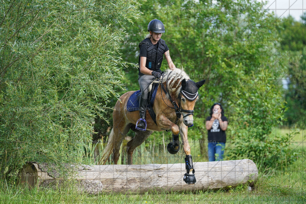 20240622-FAH08127 | Turnierfotografen Bayern, Reitsportbilder aus dem Geländekurs mit Felix Etzel auf dem Gut Waitzacker 2024