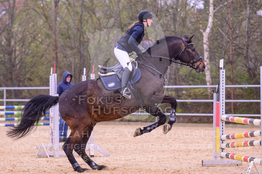 12042026-Mammendorf-Prfg38-0461 | Fokus Hufschlag Fotografie - Realisiert mit Pictrs.com