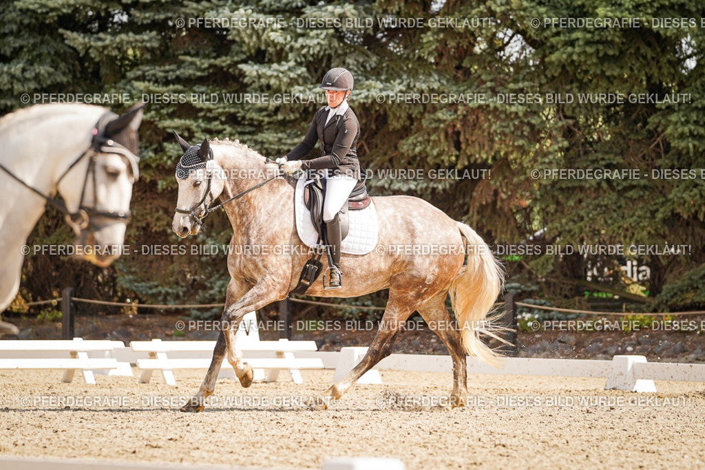 DSC01043 | Pferdegrafie