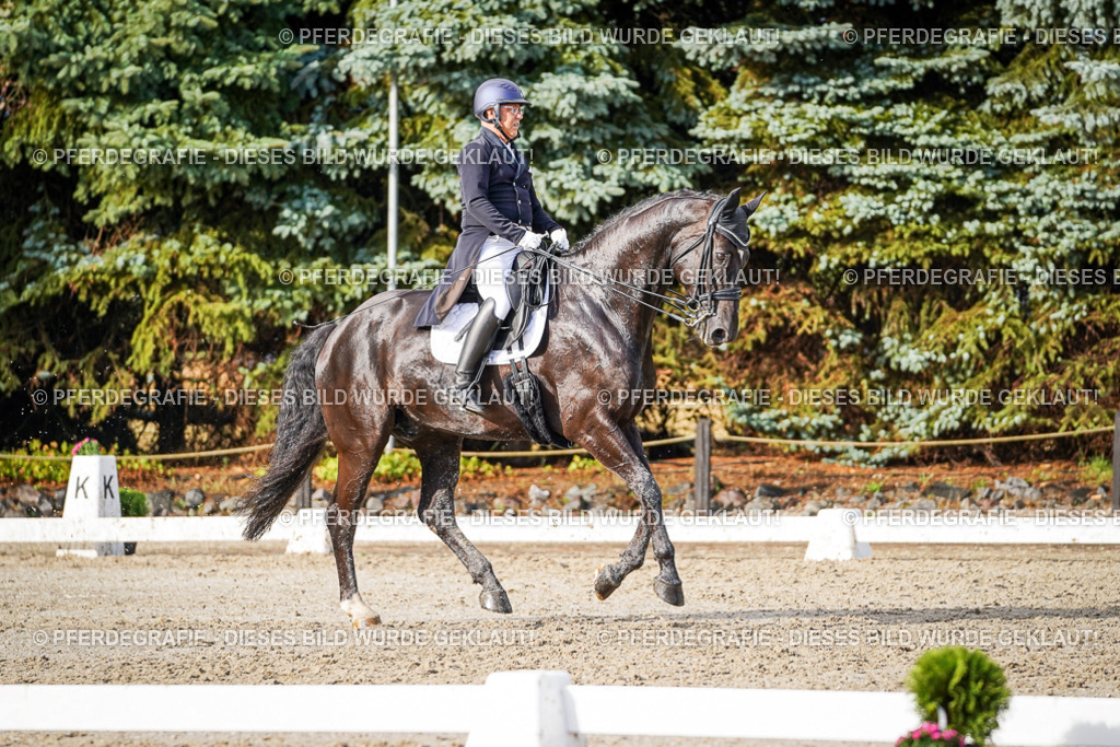 DSC00389 | Pferdegrafie