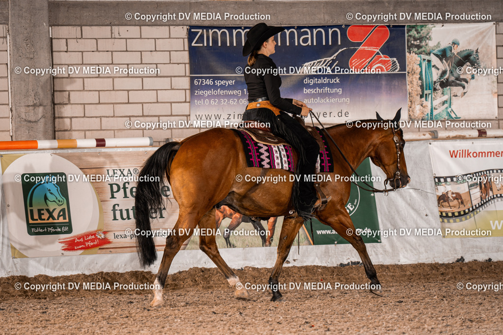 ZH200695 | dv-media-shop - Realisiert mit Pictrs.com