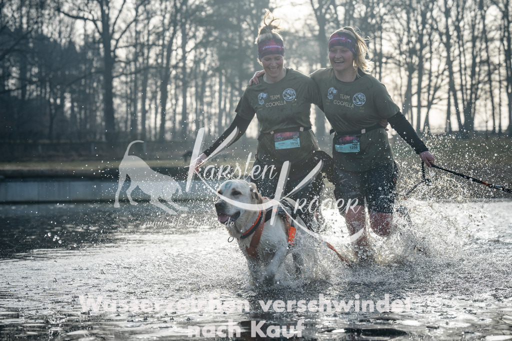 0849_ZZ98614 | kk-dogfotos