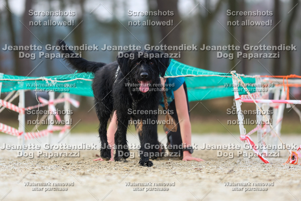 Dog Paparazzi - Strongdog North Mrz26-3834 | Dog Paparazzi Jeanette Grottendiek Fotografie & Videografie - Realisiert mit Pictrs.com