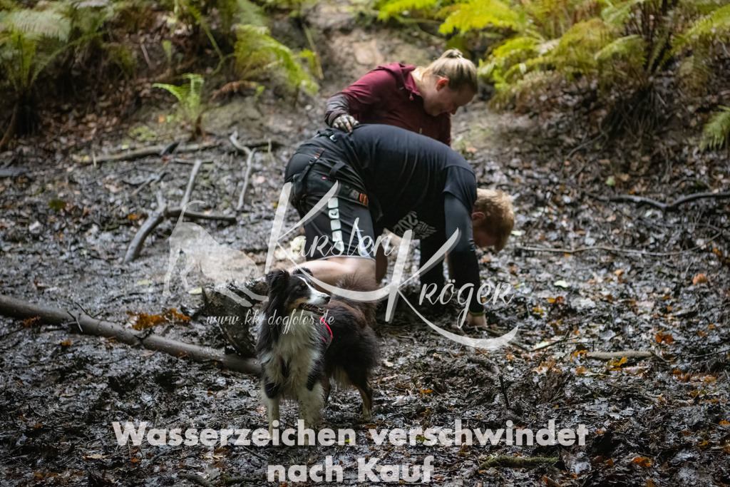 0906_ZZ90002-Bearbeitet | kk-dogfotos