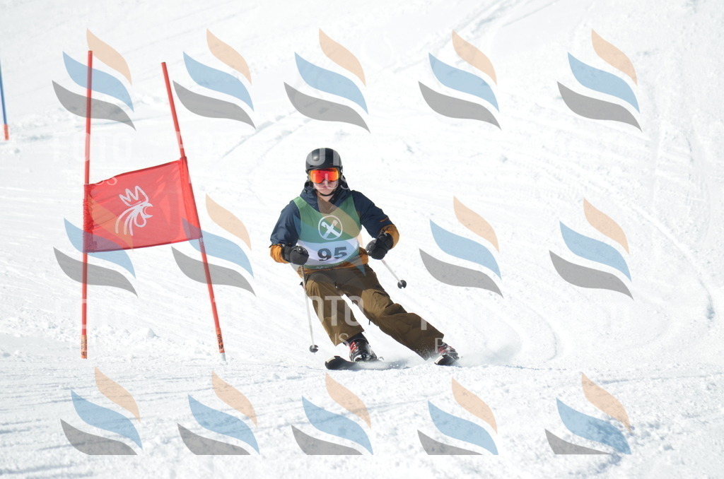 D9094 | holidayphoto