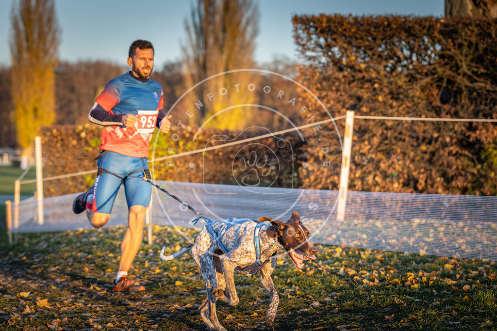 CaniXpix_DV3A5630 | Hundefotografie, Tierfotograf, Pfotenfotografie, Fotoshooting Hund, Hunde Portrait, Hundesport, Hundeportraits, Heideshooting, Hunde, Sportfotograf, Hundefotograf, Turnierhundsport, THS,  - Realisiert mit Pictrs.com