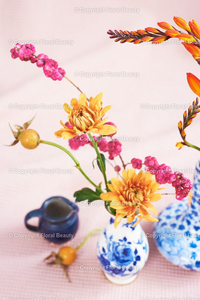 Blau-weiße Vasen mit Montbretien auf rosa | zwei kleine blau-weiße Vasen mit orangen Montbretien auf rosa Untergrund, Wandbild - Realisiert mit Pictrs.com