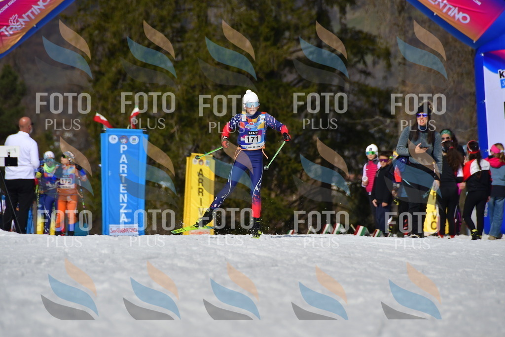 _DSC0590 | holidayphoto