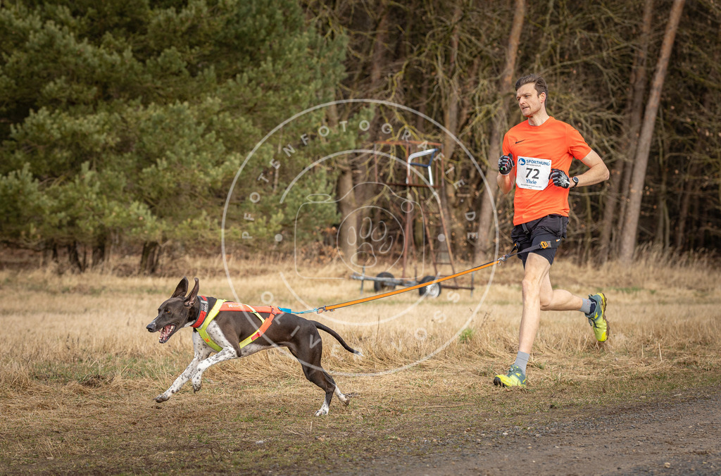 DV3A3659 | Hundefotografie, Tierfotograf, Pfotenfotografie, Fotoshooting Hund, Hunde Portrait, Hundesport, Hundeportraits, Heideshooting, Hunde, Sportfotograf, Hundefotograf, Turnierhundsport, THS,  - Realisiert mit Pictrs.com