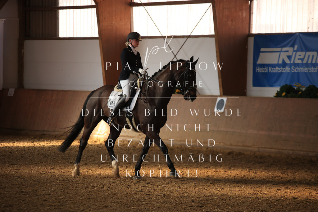 IMGT1781 | pl-fotografie