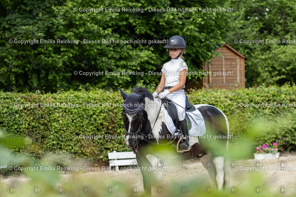 CL5A1222 | Emilia Reinking Fotografie - Realisiert mit Pictrs.com