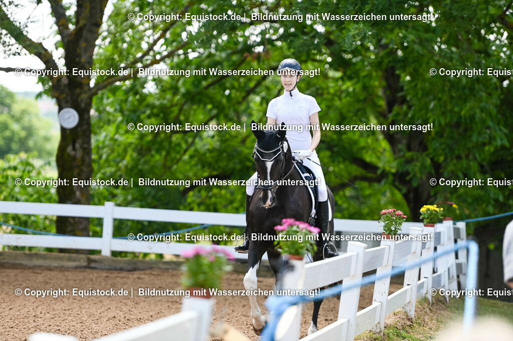 20230716_03_Dressurprfg. Kl.L - Tr._0020 | equistock