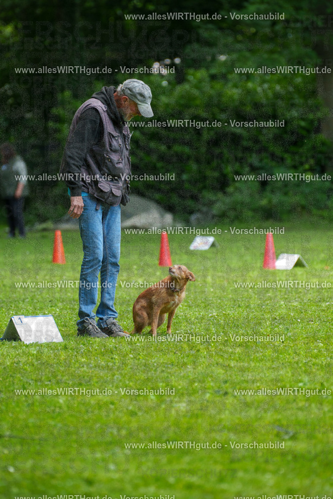 @allesWIRTHgut_Tierfotografie - www.allesWIRTHgut.de - 7R504131 | Professionelle Tierfotografie in Mönchengladbach von Daniel Wirth (allesWIRTHgut). Liebevolle & natürliche Bilder von Hunden & Katzen für unvergessliche Erinnerungen.