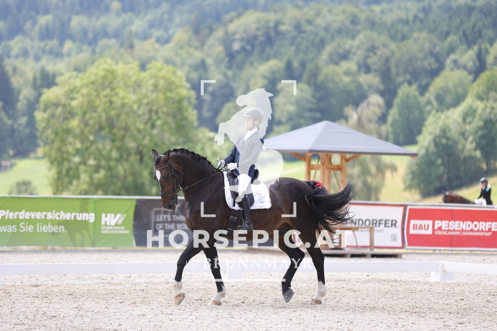 0P6A2043 | Willkommen bei Brunnmayr - Design & Fotografie – Ihrem Spezialisten für Reitturniere und Pferdeveranstaltungen in Oberösterreich, Salzburg und Bayern! Seit über 17 Jahren sind wir leidenschaftlich dabei.