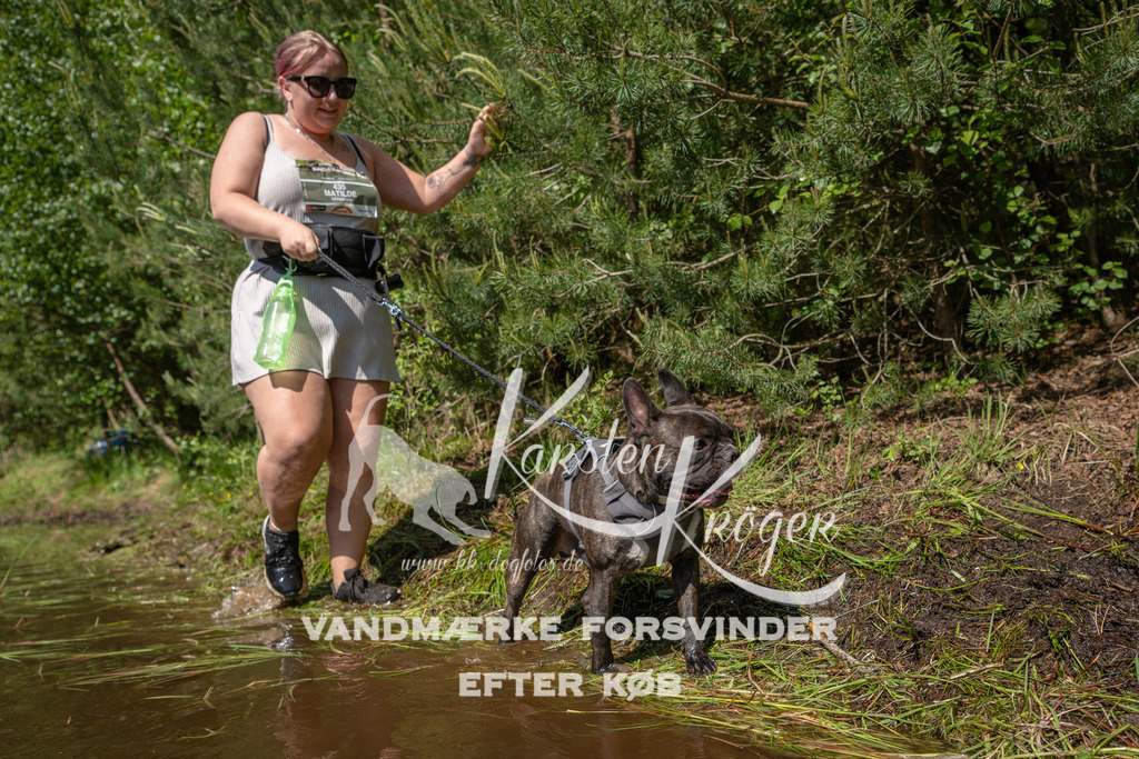 1517DKK992820 | kk-dogfotos