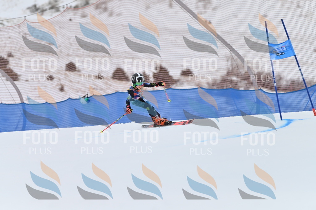 BGV_0201 | holidayphoto