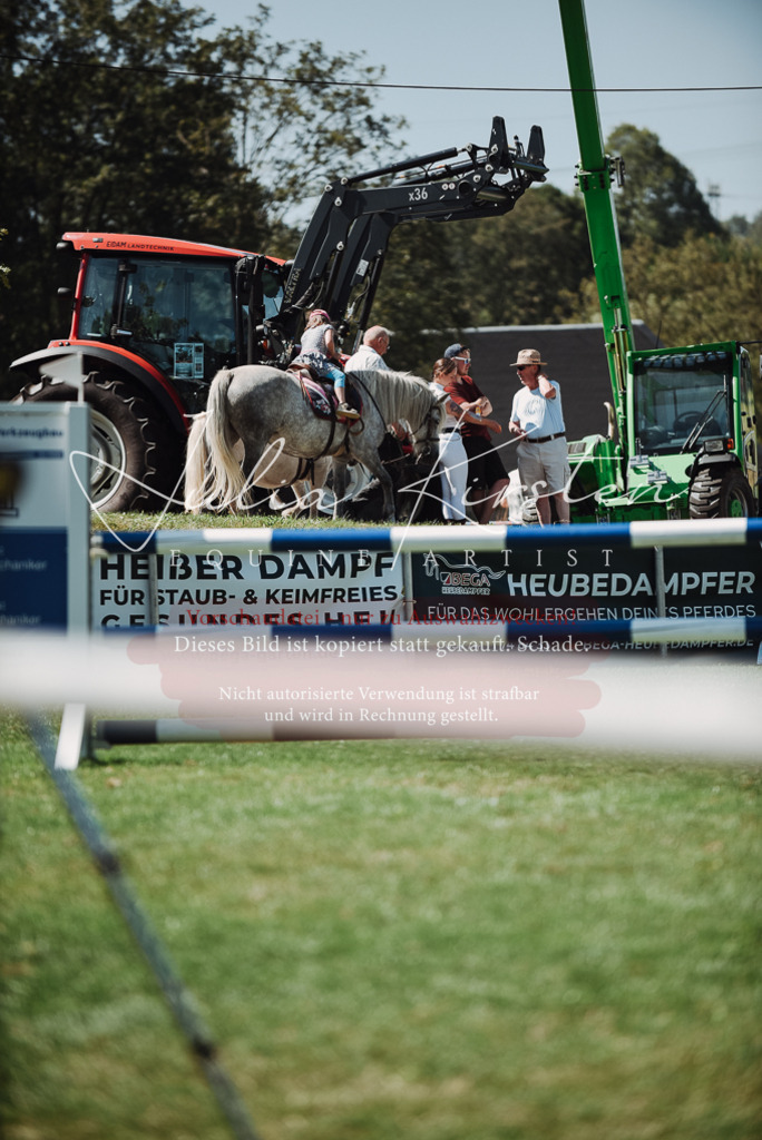 DSC_3014 | Pferde- und Turnierfotografie in Westsachsen. Pferdeportraits, Auftragszeichnungen und intuitive Kunst.