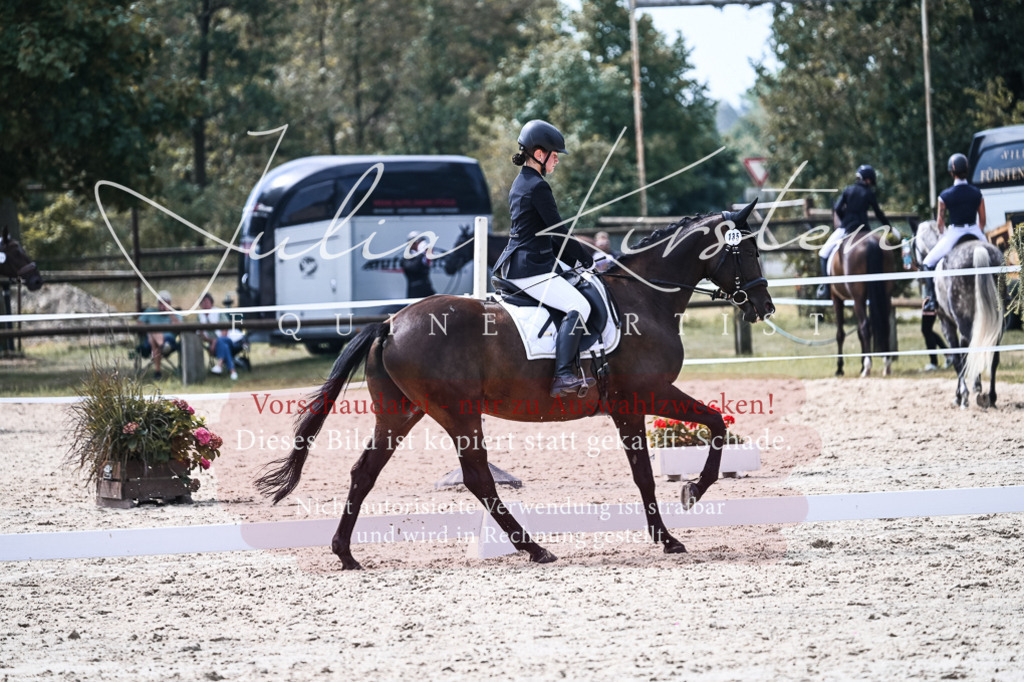 DSC_5266 | Pferde- und Turnierfotografie in Westsachsen. Pferdeportraits, Auftragszeichnungen und intuitive Kunst.