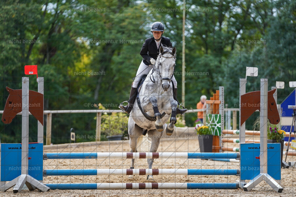 20231008-SN_01061 | Professionelle Turnier- und Reitsportfotografie - mit dem Finger am Auslöser. Pferdebilder aus dem Reitsport von den Turnierfotografen  Bayern , Pferdefotograf Bayern, Pferdeshooting Turnierbilder, Hochzeitsfotograf, Eventfotograf, Hochzeitsbilder