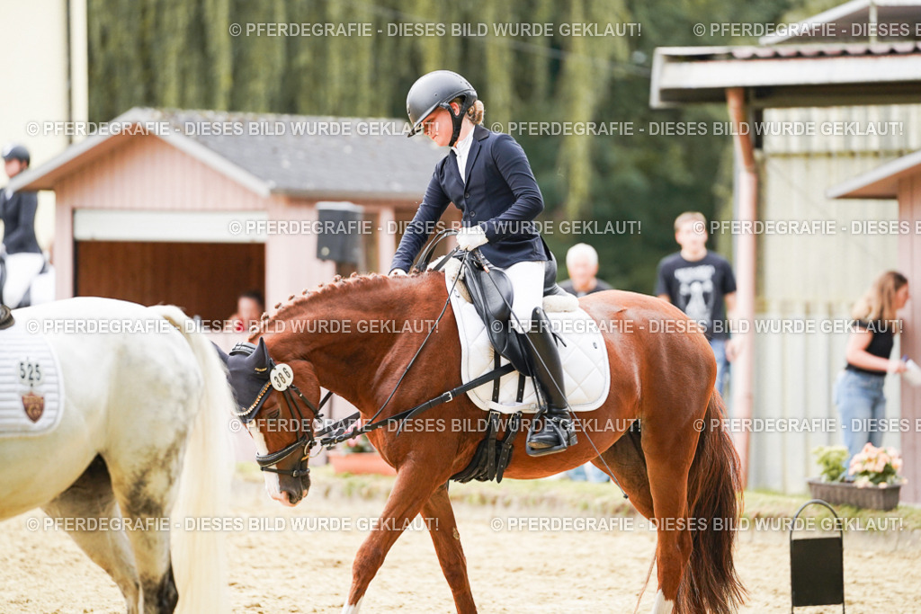 DSC09839 | Pferdegrafie