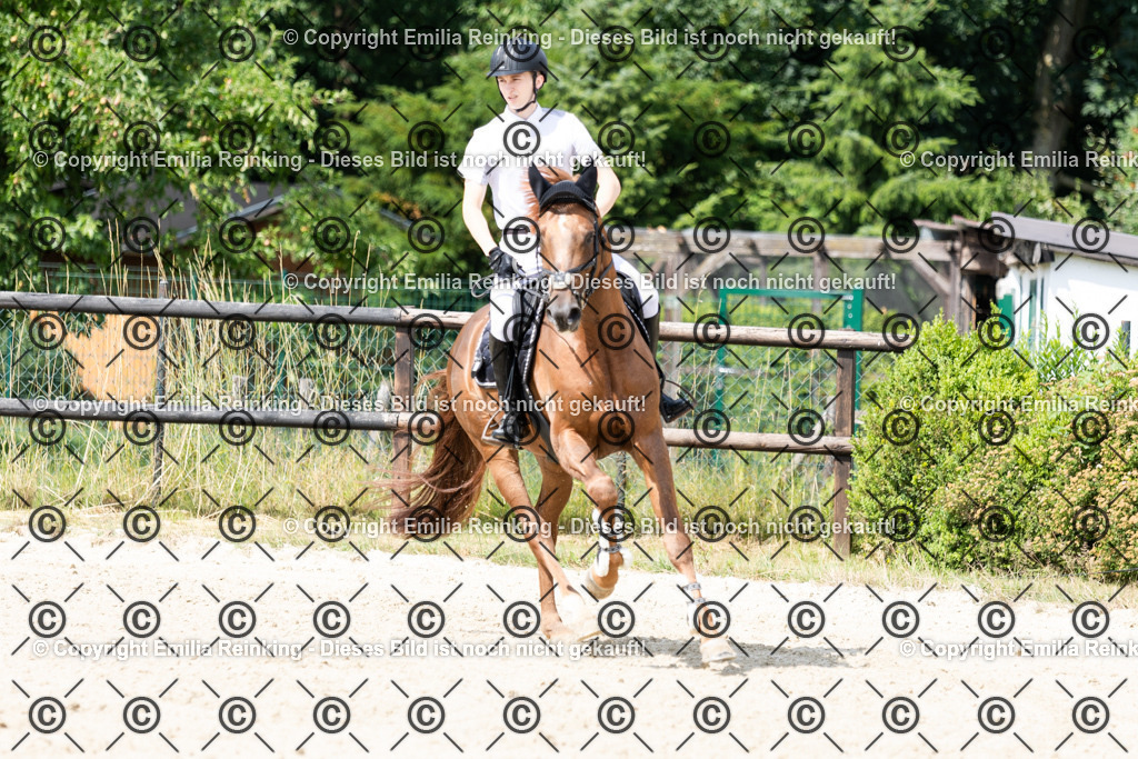 CL5A8583 | Emilia Reinking Fotografie - Realisiert mit Pictrs.com