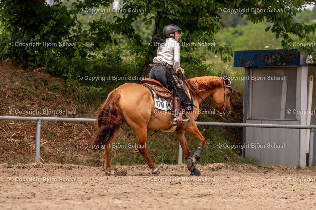 KBS01748 | BS-foto
