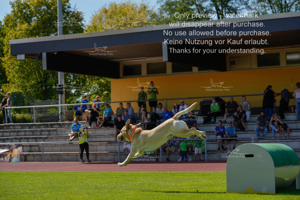 Sonntag_VK Hindernis (638 von 671) | stephaniefillaphotographie - Realisiert mit Pictrs.com