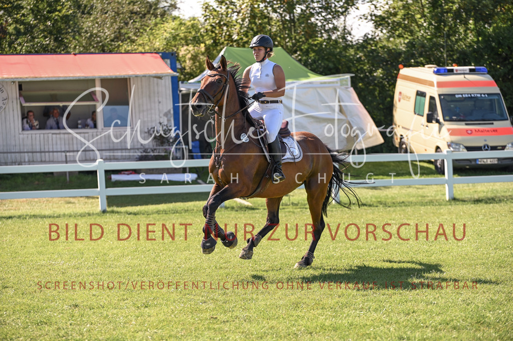 Schugtsche-Düren.2024-11.Mannsch.Springprf.A-7 | Schugtsche Fotografie - Realisiert mit Pictrs.com